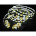 DC12V/24V 72LEDs/M RGBW Rgbww LED Strip Light